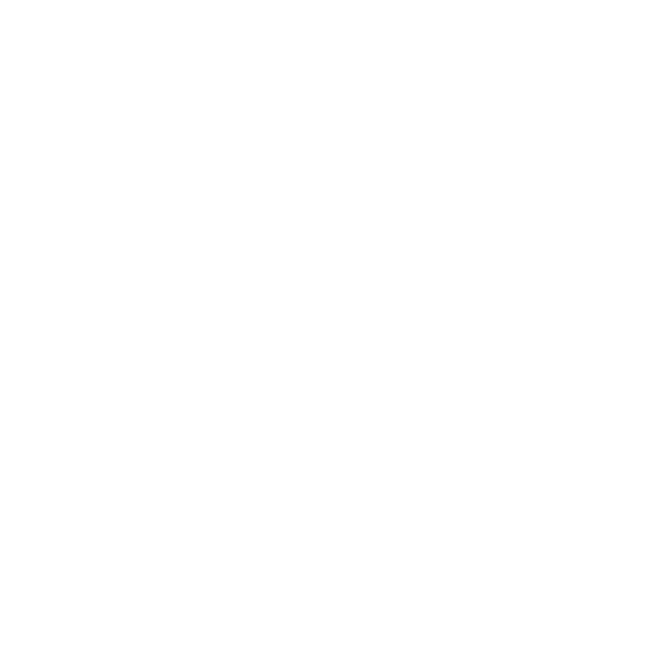 XT0N1 — Black Hole